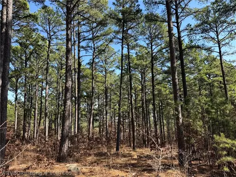 lot29 Mountain View Dr, Tuskahoma, OK 74574