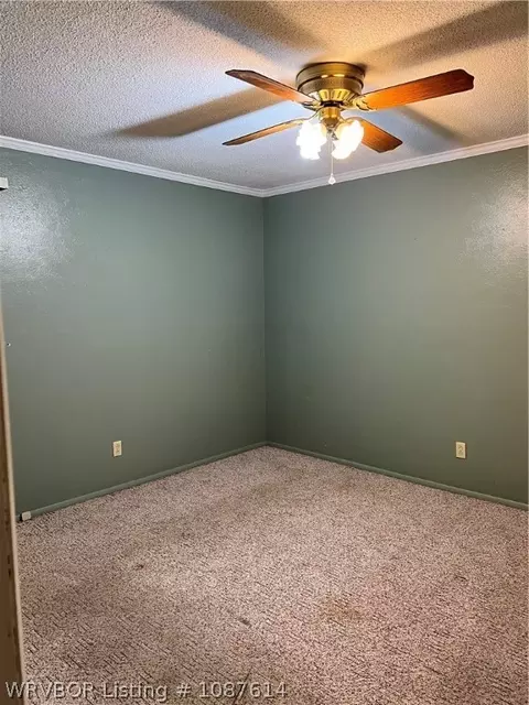 Other - 118 Hall St, Paris, AR 72855 photo 5 of 11