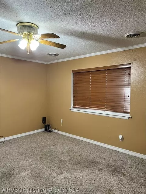 Other - 118 Hall St, Paris, AR 72855 photo 4 of 11