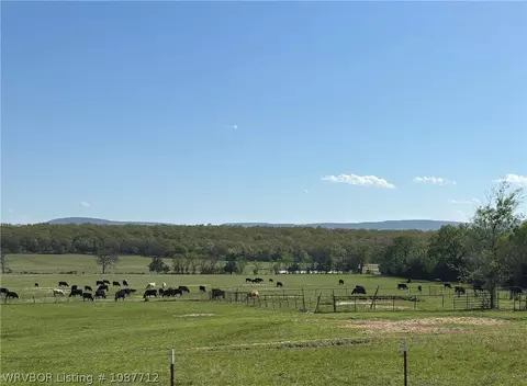 View/Area - 1900 Bottom Fork Rd, Mansfield, AR 72944 photo 1 of 1
