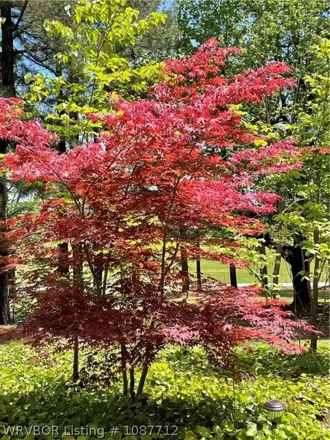 Other - 1900 Bottom Fork Rd, Mansfield, AR 72944 photo 5 of 11