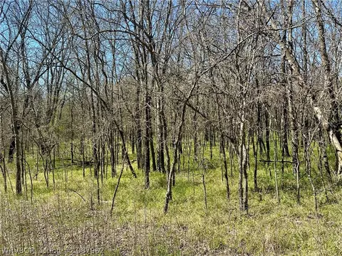 000 E Folsom Blvd, Pocola, OK 74902 photo 10