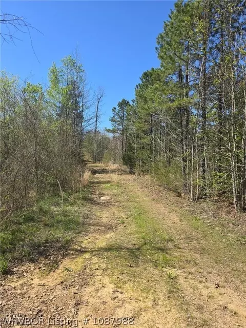 7908 Tree Hill Rd, Waldron, AR 72958 photo 10