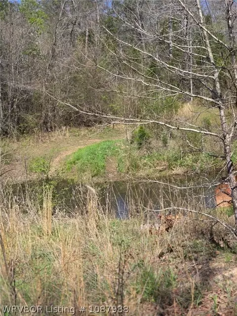 7908 Tree Hill Rd, Waldron, AR 72958 photo 14