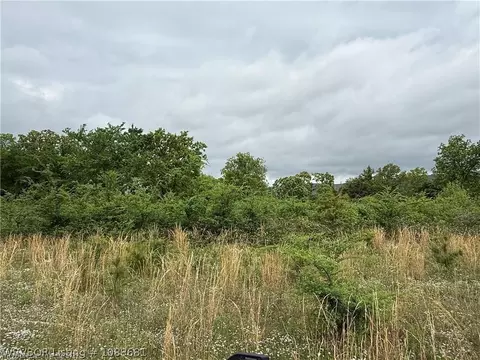 tbd Lot 20 Palmilla Dr, Wister, OK 74966