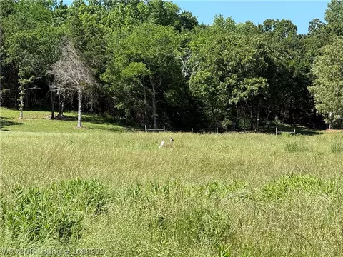 tbd Hamilton Dr, Hackett, AR 72937 photo 6
