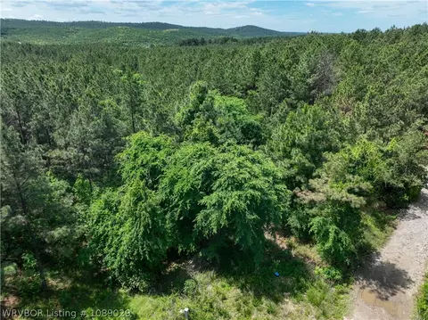 142 Bear Maple Trl, Broken Bow, OK 74728 photo 14