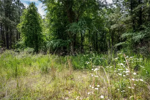 142 Bear Maple Trl, Broken Bow, OK 74728 photo 18