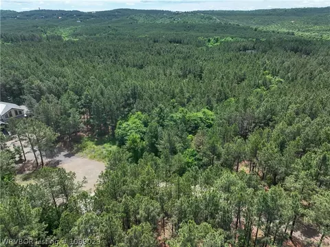 142 Bear Maple Trl, Broken Bow, OK 74728 photo 5