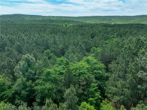 142 Bear Maple Trl, Broken Bow, OK 74728 photo 4
