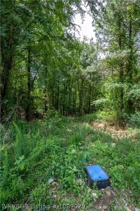 142 Bear Maple Trl, Broken Bow, OK 74728 photo 19