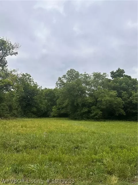 201 N Plum St, Hackett, AR 72937 photo 3