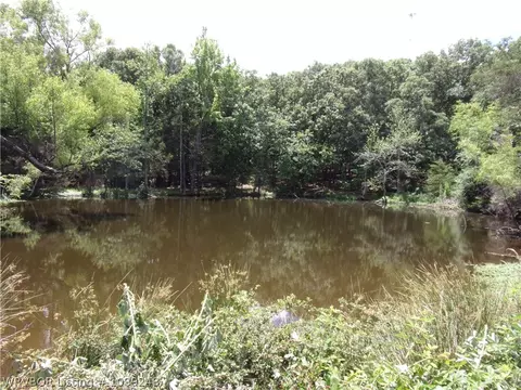 tbd Hwy 41, Cecil, AR 72930 photo 15