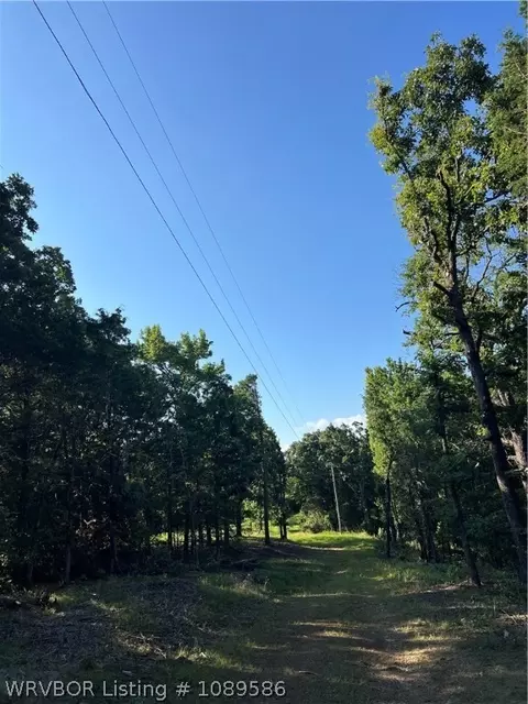 tbd Apple Leaf Ln, Rudy, AR 72952