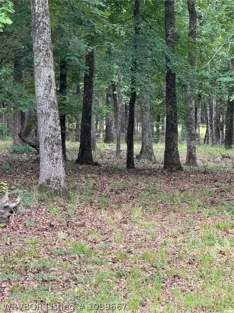 Other - 400 Polk Ln, Hackett, AR 72937 photo 18 of 23