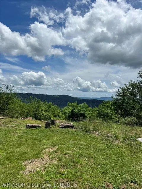 2325 W Fly Gap Rd, Combs, AR 72721 photo 12