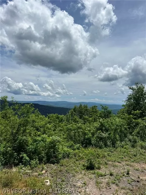 2325 W Fly Gap Rd, Combs, AR 72721 photo 13