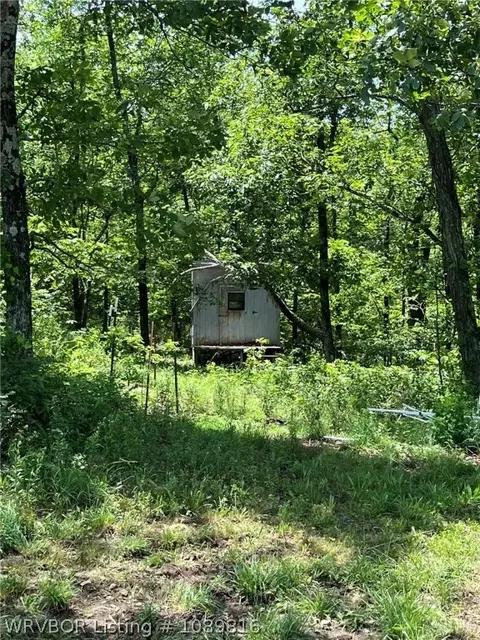 2325 W Fly Gap Rd, Combs, AR 72721 photo 18