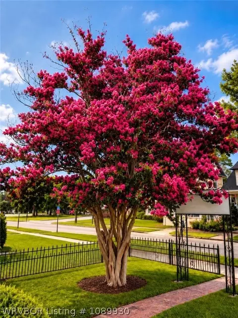 Other - 109 N 16th St, Fort Smith, AR 72901 photo 1 of 11