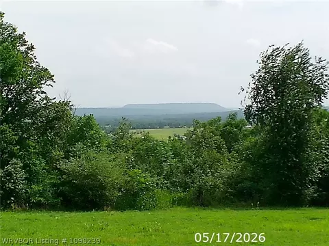 tbd Pine, Altus, AR 72821 photo 9