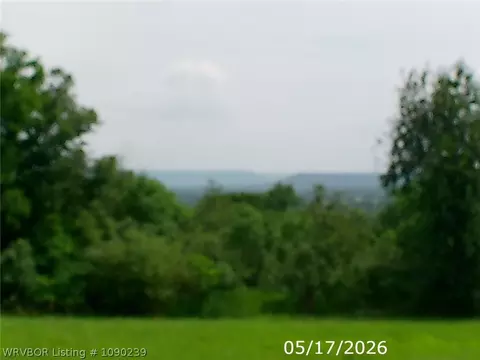 tbd Pine, Altus, AR 72821 photo 8