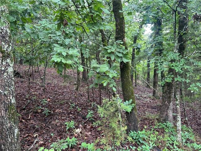 tbd Canyon Rd, Poteau, OK 74953