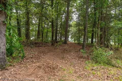 4730 Fork Rd, Mulberry, AR 72947 photo 11