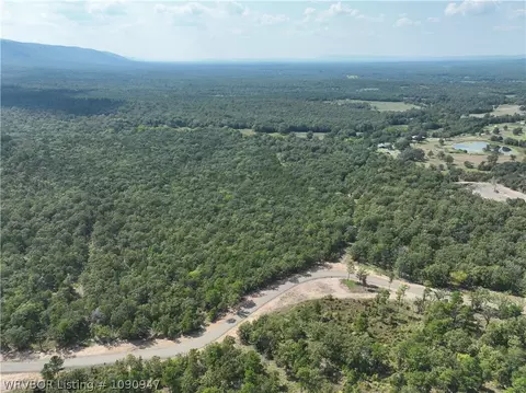 Tract 5&6 River Road, Whitesboro, OK 74577