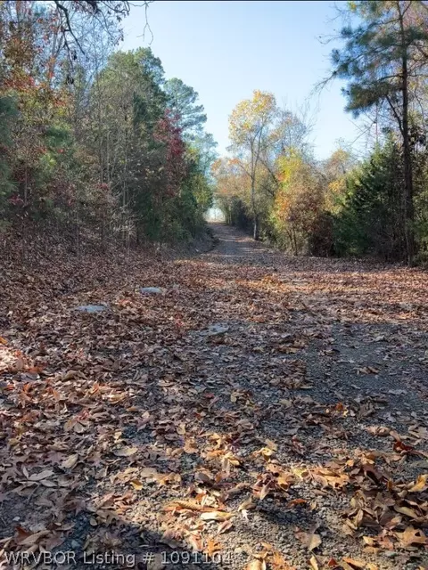 12208 N Highway 96, Cecil, AR 72930 photo 36