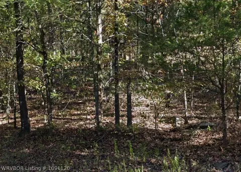 tbd Lancaster Rd, Rudy, AR 72952