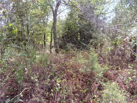 4725 Compressor Rd, Ratcliff, AR 72951 photo 3