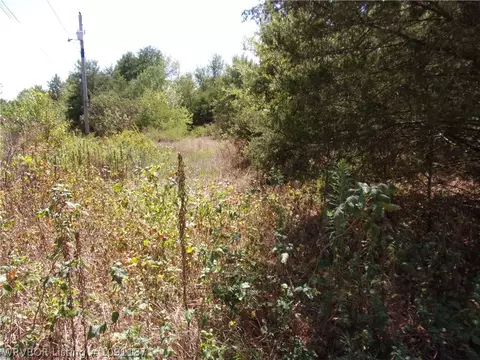 4725 Compressor Rd, Ratcliff, AR 72951 photo 2