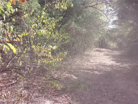 4725 Compressor Rd, Ratcliff, AR 72951 photo 2
