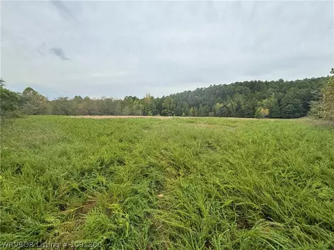 tbd La Rue Ln, Magazine, AR 72943