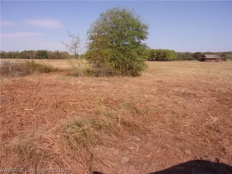 tbd Council Rd, Ratcliff, AR 72951 photo 6