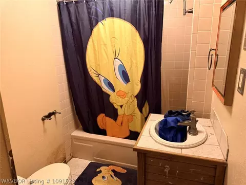 Bath - 610 W Logan St, Altus, AR 72821 photo 1 of 5