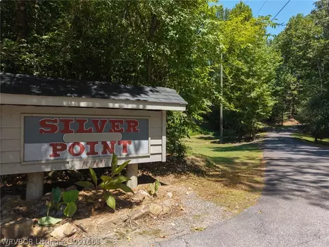 Other - 93 Silver Point Dr, Mount Ida, AR 71957 photo 4 of 16