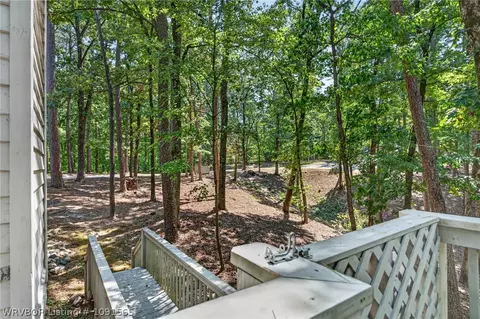 Other - 93 Silver Point Dr, Mount Ida, AR 71957 photo 16 of 16
