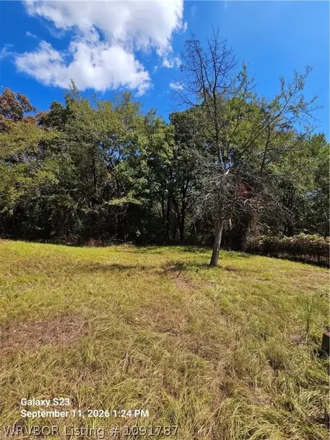 1000 Idlewood Ln, Hackett, AR 72937 photo 4