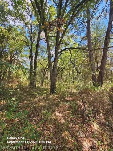 1000 Idlewood Ln, Hackett, AR 72937 photo 5