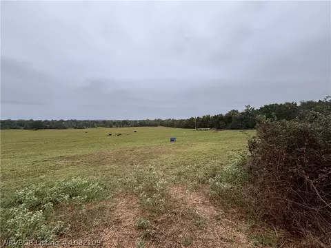 tbd S Mt Harmony And Mountainview Rd, Mansfield, AR 72944 photo 12