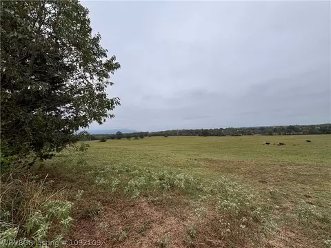tbd S Mt Harmony And Mountainview Rd, Mansfield, AR 72944 photo 21