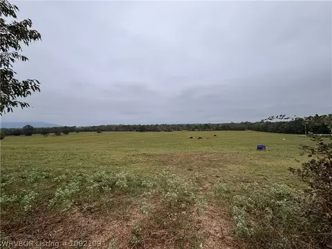 tbd S Mt Harmony And Mountainview Rd, Mansfield, AR 72944 photo 13