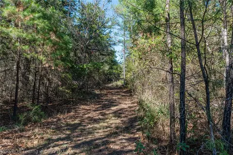 Other - 3024 Red Bench Rd, Paris, AR 72855 photo 18 of 23