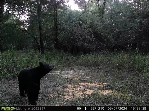 Other - 3024 Red Bench Rd, Paris, AR 72855 photo 3 of 23