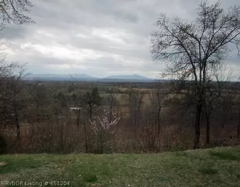 9606 Mount Zion Rd, Hackett, AR 72937 photo 4