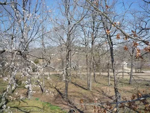 2505 S Bay Point Dr, Lavaca, AR 72941 photo 6
