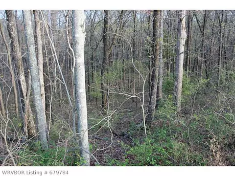 tbd Bunyard Rd, Winslow, AR 72959 photo 1
