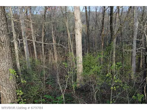 tbd Bunyard Rd, Winslow, AR 72959 photo 7