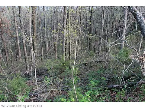 tbd Bunyard Rd, Winslow, AR 72959 photo 6
